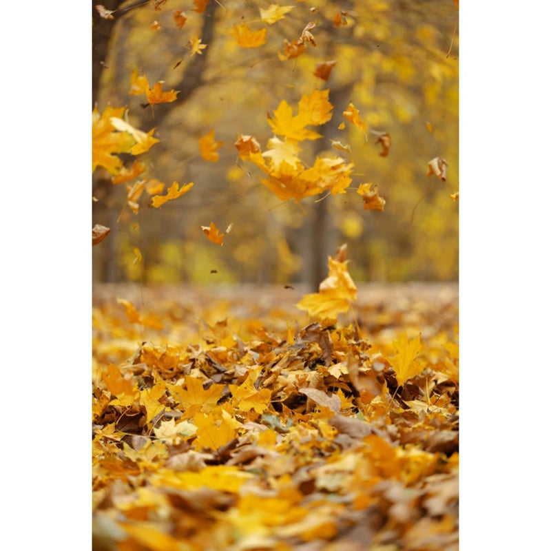 Autumn Landscape Backdrop Fall Forest Maple Fallen Leaves Nature Scenery Harvest Thanksgiving Portrait Photography Background