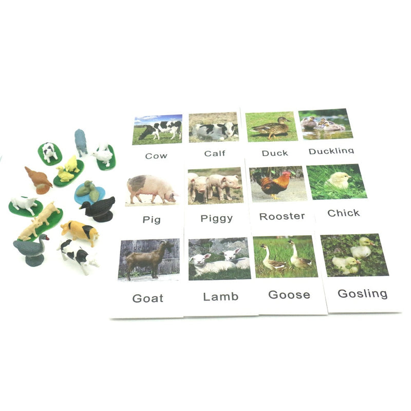 24Pcs/Set Montessori Toys for 3 Year Flash Cards Animals Matching Learning English Kids Early Educational Practical Life