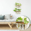 Wall Hanging Test Tube, Glass Planter Plant Vase with Wooden Stand & Strings Rope, Glass Planter Plant Terrarium  (2 layer)