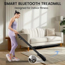300 Ibs Weight Capacity 2.5 HP 2 in 1 Portable Treadmill for Home with Remote Control LED Display Walking Pad Treadmill