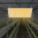 220W LED Grow Light Growing Lamp Commercial Indoor Plant Full Spectrum For Greenhouse Flower Plants Veg Dimmable