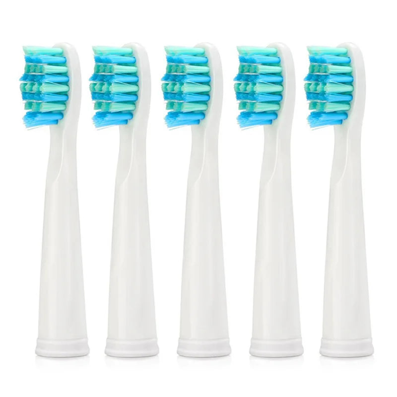 fit for Seago Electric Replacement Brush Heads Sonic Toothbrush Hygiene Care 899  for SG910 SG507 SG958 SG515 SG949 SG575