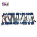 50pcs DC 5V input WS2811 Full Color LED Pixel Light Module 12mm IP68 waterproof RGB color 1903IC Digital LED christmas Light