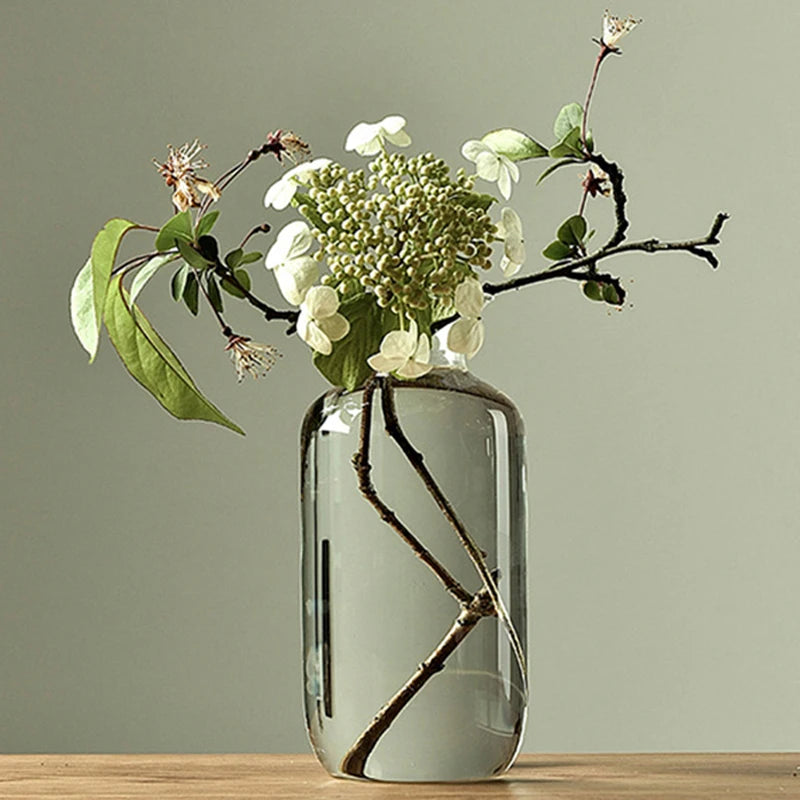 Transparent Glass Vases for Plant Bottle Japanese Zen Flower Vase Simple Hydroponic Living Room Table Decorative Flower Pot
