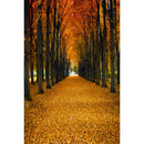 Autumn Landscape Backdrop Fall Forest Maple Fallen Leaves Nature Scenery Harvest Thanksgiving Portrait Photography Background