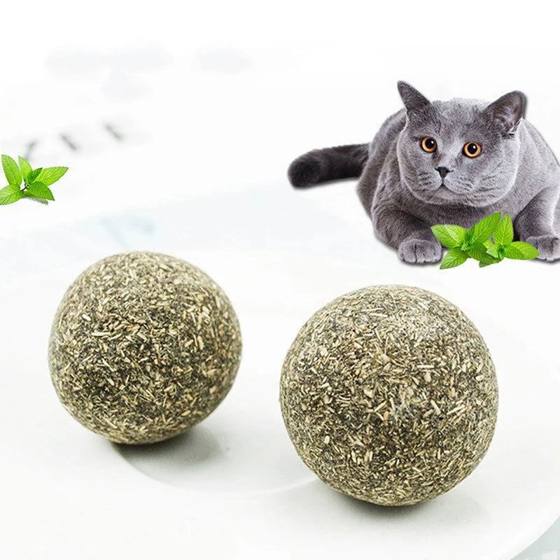 Natural Safety Edible Pet Catnip Toys for Cat Mint Ball Healthy Cleaning Teeth Stick Molar Cat Nip Lollipop Catmint Supplies