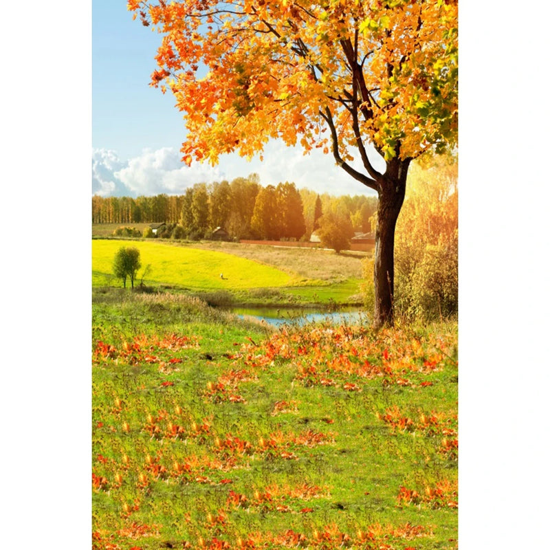 Autumn Landscape Backdrop Fall Forest Maple Fallen Leaves Nature Scenery Harvest Thanksgiving Portrait Photography Background