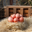 5 Pcs Imitation Fake Eggs Blank Wood Artificial for Chicken Nests Wooden Chickens Easter Crafts Solid