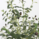 Realistic Artificial Olive Tree, Lifelike Faux Olive Plant for Home, Office, Garden Décor