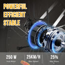 EVERCROSS TECH EK 8S Electric bike adult, E-boat 26 with motor W, 36V 12Ah battery, Max speed 25 km/h, Max Charge