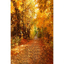 Autumn Landscape Backdrop Fall Forest Maple Fallen Leaves Nature Scenery Harvest Thanksgiving Portrait Photography Background