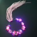 44612953112799|44612953178335