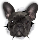 45340883878111|45340883943647|45340883976415|45340884009183|45340884041951