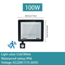 PIR Motion Sensor LED Flood Light 10W 20W 30W 50W 100W 150W 200W 300W AC220V IP66 Waterproof Spotlight Street Floodlight Outdoor