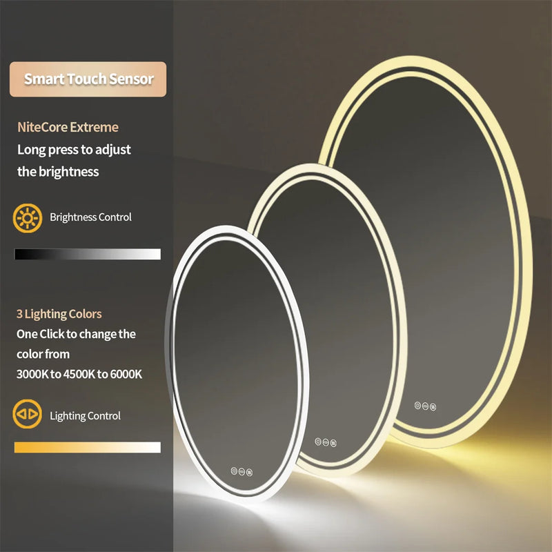 LUVODI 60x80cm Oval Bathroom Mirror LED Backlit Wall Vanity Mirror for Bathroom Bedroom Salon