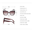 Oversized Cat Eye Sunglasses Women 2022 Luxury Brand Fashion Large Frame Square Sun Glasses for Men Retro Trendy Cateye Eyewear