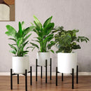 Einstellbare Höhe und erweiterbare Breite (23.37cm) Metall Pflanzenhalter mit perfektem Blumentopf Stand