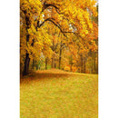 Autumn Landscape Backdrop Fall Forest Maple Fallen Leaves Nature Scenery Harvest Thanksgiving Portrait Photography Background