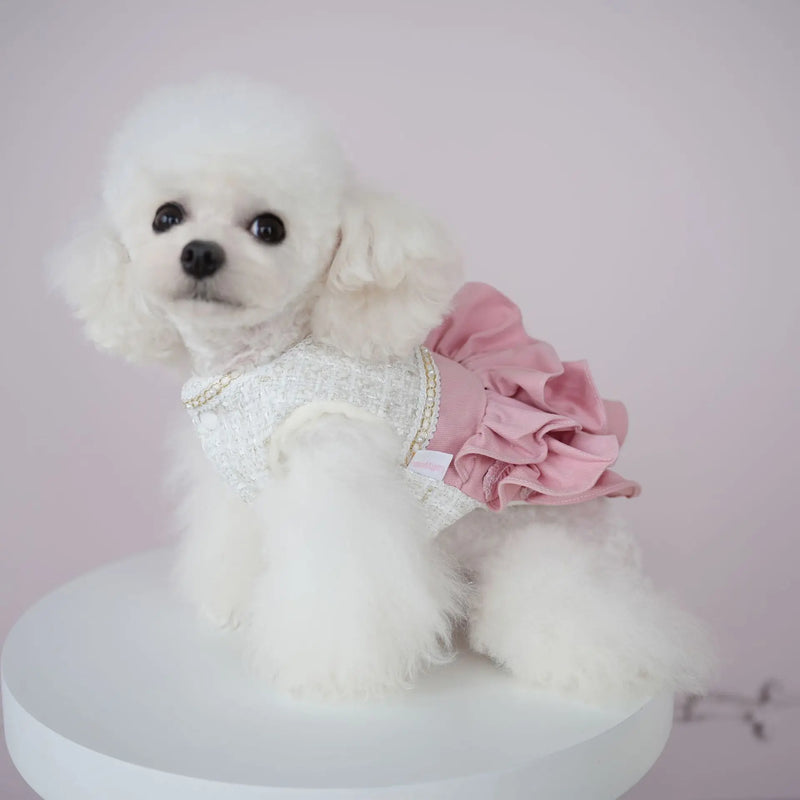 Dog Skirt Winter Woolen Denim Patchwork Woolen Skirt Cute Two Legged Clothes Tutu Dress Autumn Puppy Clothes Dogs Christmas