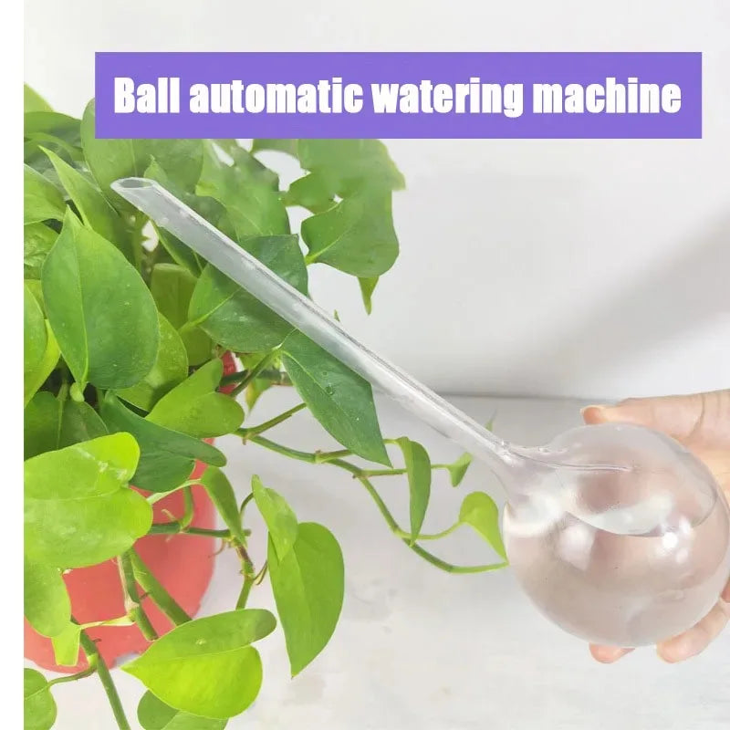 Automatic Plant Watering Bulbs Self Watering Globe Ball Water Device Drip Irrigation System for Garden Flower Plant Plastic Ball