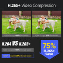 ANNKE 12MP Dual Light Smart Video Surveillance Kit 2/4PCS POE Camera 12MP NVR Smart Home Camera 8CH NVR Outdoor Built-in mic