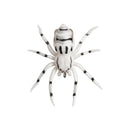 45568108658911|45568108691679