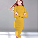 New Autumn Winter Women Knitted Dress Turtleneck Sweater Dresses Lady Slim Bodycon Long Sleeve Bottoming Dress Vestidos PP003
