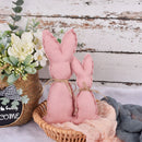 2/3PCS Easter Ornaments Carrots Rabbit Hanging Pendant Toy Cloth Props Happy Easter Decorations 2023 for Home Party