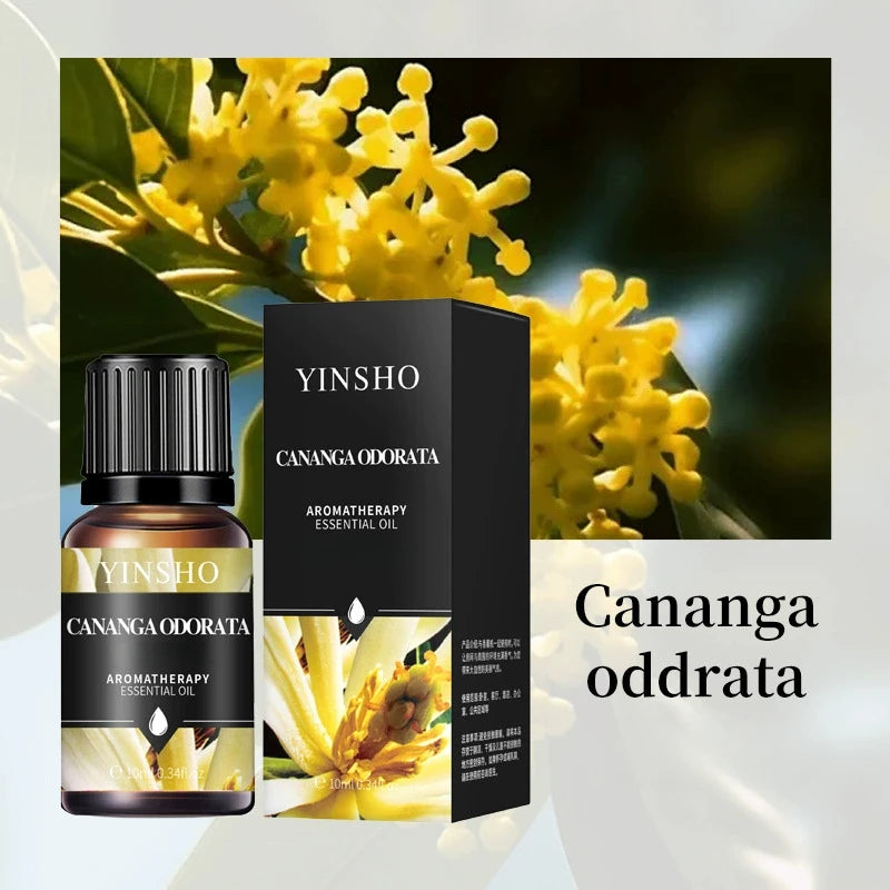 Aromatherapy 10ml Essential Oils for Humidifier Aromatic Oil Fragrance Oil Water-soluble Lavender Rose Lemon Mint