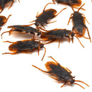 12pcs Prank Artificial Fake Cockroach Plastic Simulation Fake Roach Bug Funny Trick Joke Toys Halloween Props Spoof Decoration