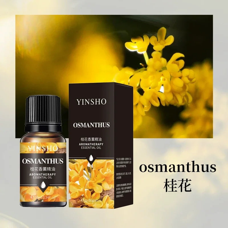 Aromatherapy 10ml Essential Oils for Humidifier Aromatic Oil Fragrance Oil Water-soluble Lavender Rose Lemon Mint