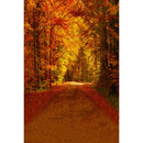 Autumn Landscape Backdrop Fall Forest Maple Fallen Leaves Nature Scenery Harvest Thanksgiving Portrait Photography Background
