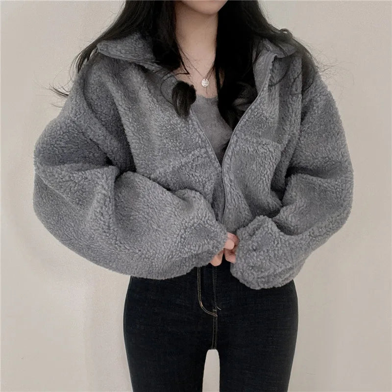 Design sensitive short standing collar warm imitation lamb wool jacket for women's new loose and versatile zipper cardigan top