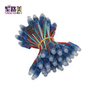 50pcs DC 5V input WS2811 Full Color LED Pixel Light Module 12mm IP68 waterproof RGB color 1903IC Digital LED christmas Light