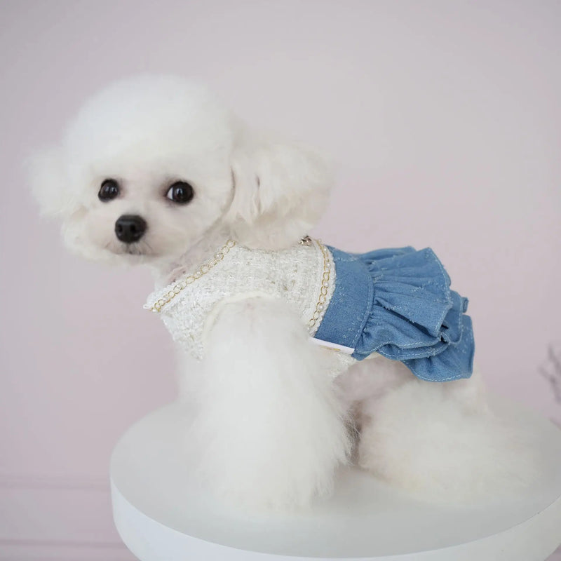 Dog Skirt Winter Woolen Denim Patchwork Woolen Skirt Cute Two Legged Clothes Tutu Dress Autumn Puppy Clothes Dogs Christmas