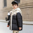 44443886813407|44443886846175|44443886878943|44443886911711|44443886944479