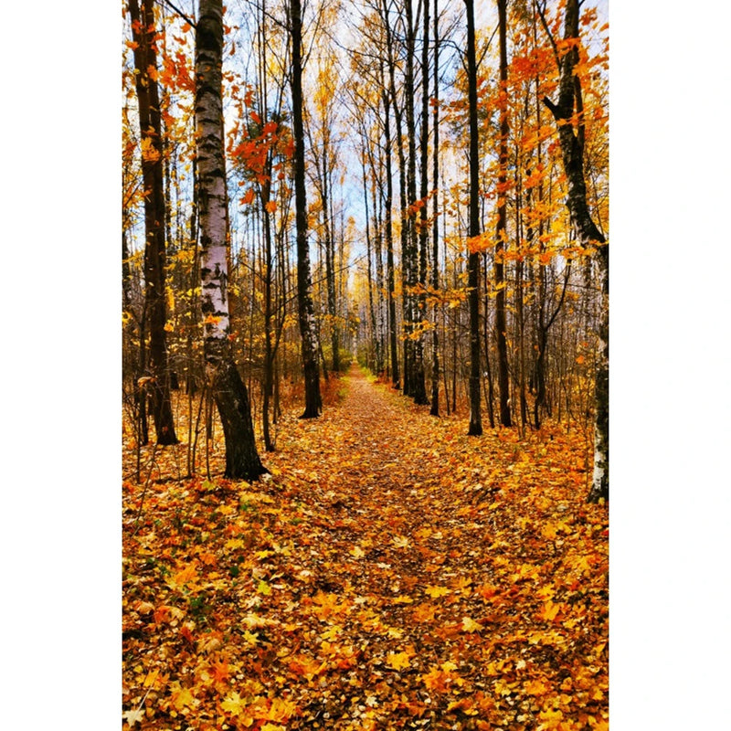 Autumn Landscape Backdrop Fall Forest Maple Fallen Leaves Nature Scenery Harvest Thanksgiving Portrait Photography Background