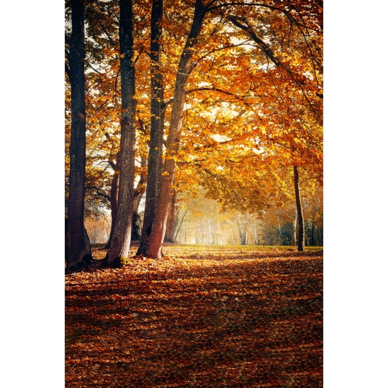 Autumn Landscape Backdrop Fall Forest Maple Fallen Leaves Nature Scenery Harvest Thanksgiving Portrait Photography Background