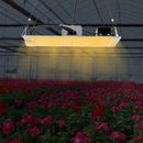 220W LED Grow Light Growing Lamp Commercial Indoor Plant Full Spectrum For Greenhouse Flower Plants Veg Dimmable