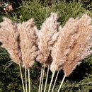 30Pcs Natural Fluffy Pampas Grass Dried Rabbit Tail Bouquet Wedding Party Decoration Pompas Artificial Flower Christmas Supplies
