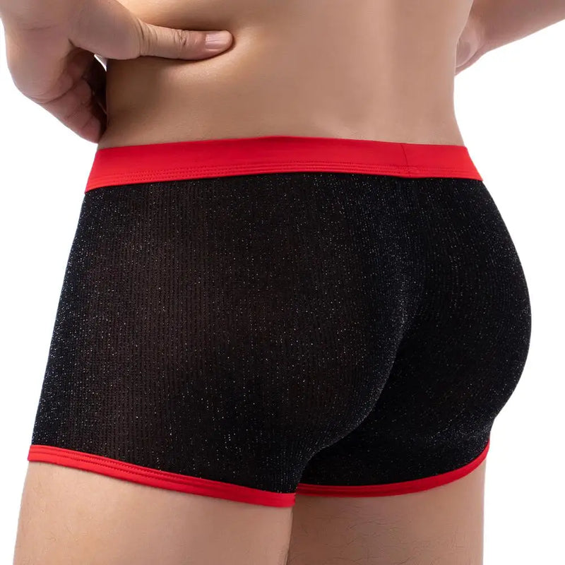 Men's Underwear Boxers Sexy Mesh Transparent Boxer Shorts Low Waist Breathable Panties Boxer for Man
