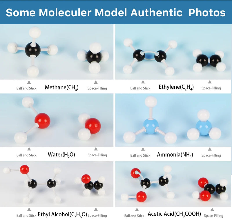 Organic Chemistry Model Kit (240 PCS) - Molecular Models Kit with Atoms, Bonds, Chemistry Molecular Model Kit Organic