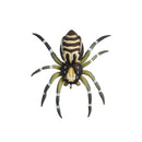 45568109117663|45568109150431