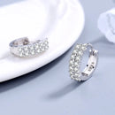 925 Sterling Silver Needle Earrings Fashion High Quality Jewelry Double Row Crystal Zircon Round Hoop Earrings