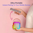 K12 Karaoke Machine Portable Bluetooth 5.3 PA Speaker System with 2 Wireless Microphones Home Family Singing Children's Gifts