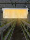 220W LED Grow Light Growing Lamp Commercial Indoor Plant Full Spectrum For Greenhouse Flower Plants Veg Dimmable