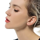 2Pcs 316L Stainless Steel Twist Hinged Septum Nose Rings Hoops for Women Men, Septum Clicker Cartilage Tragus Helix Ear Piercing