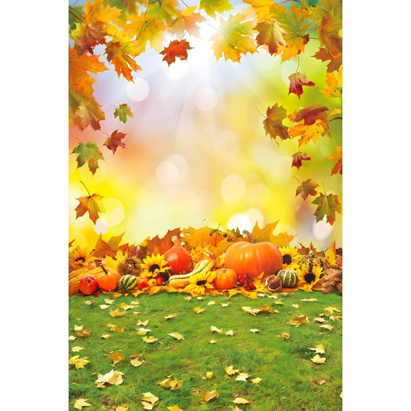 Autumn Landscape Backdrop Fall Forest Maple Fallen Leaves Nature Scenery Harvest Thanksgiving Portrait Photography Background
