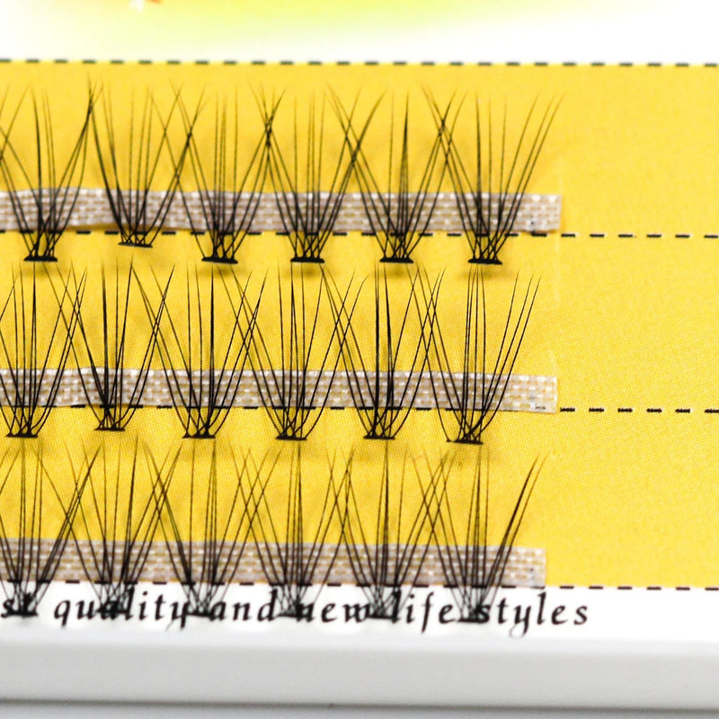 Grafting World 0.07 Individual Eyelashes 10D Lash Fan Cluster length 8mm to 14mm for Personal Make Up