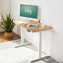 RAY OAK ELECTRIC STANDING DESK